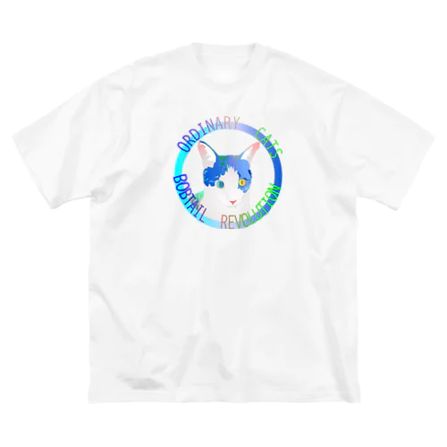 Ordinary Cats01h.t.(冬) ビッグシルエットTシャツ