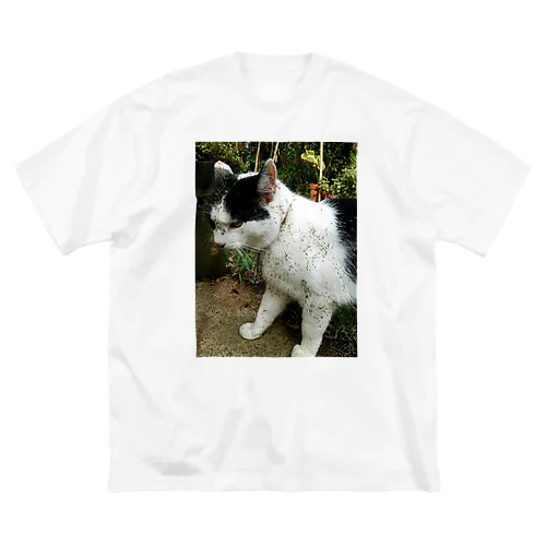 うちの猫〜泥棒猫〜 ビッグシルエットTシャツ