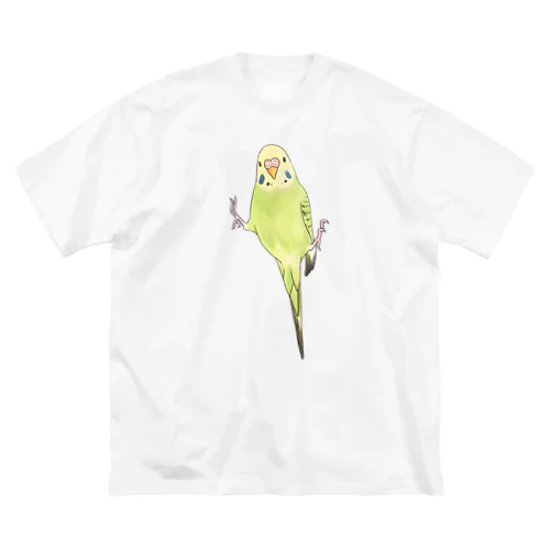 ピタッとセキセイインコちゃん【まめるりはことり】 ビッグシルエットTシャツ