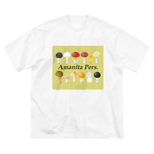 テングタケ属（12種類）　Tシャツ・パーカー類 Big T-Shirt