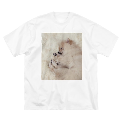 すやすやポメラニアンむめも Big T-Shirt
