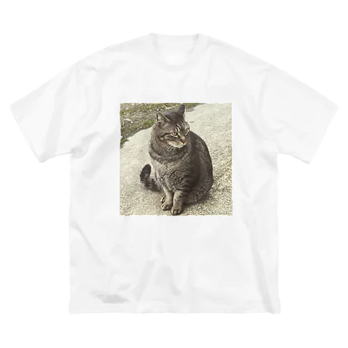 猫のシマくん ビッグシルエットTシャツ