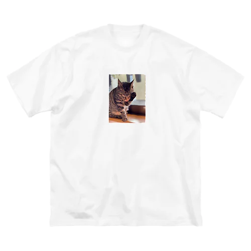 こたろう　子猫　シリーズ　1 Big T-Shirt