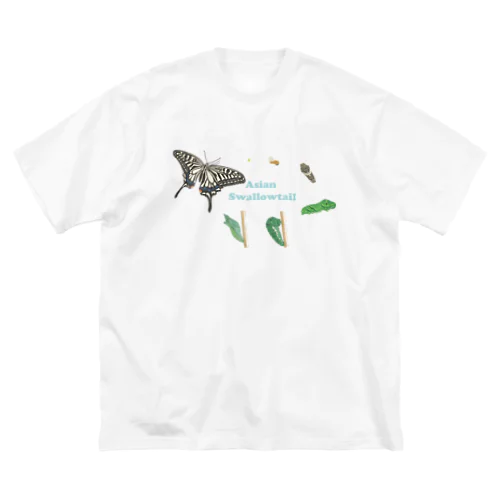 ナミアゲハの発生サイクル 루즈핏 티셔츠