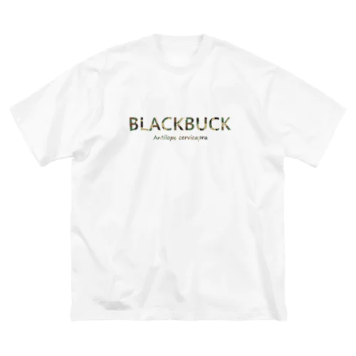 BLACKBUCK ビッグシルエットTシャツ