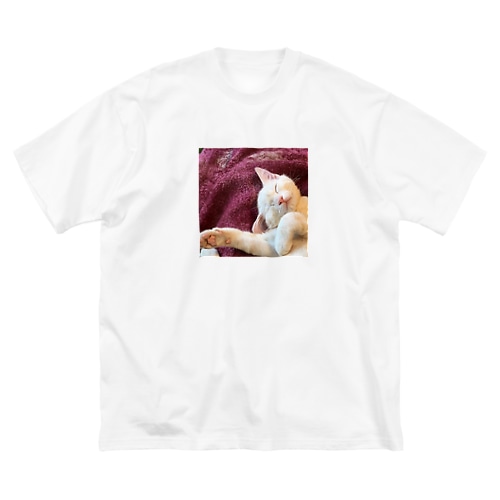 ねむりねこ Big T-Shirt