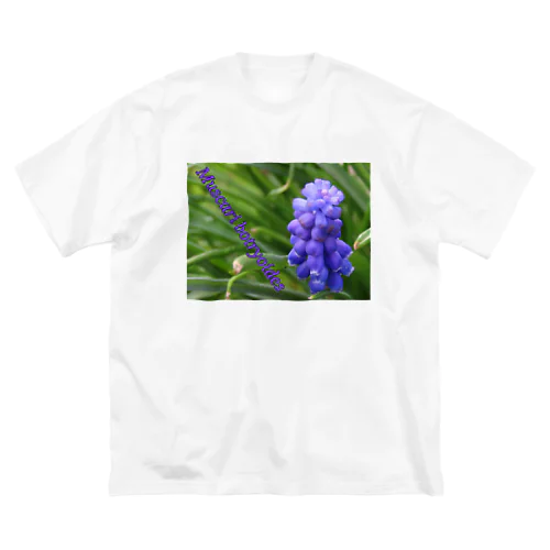 Muscari botryoides(4:3) ビッグシルエットTシャツ