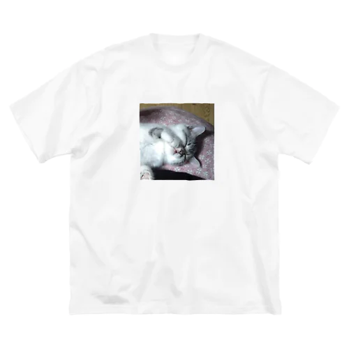 おねむの時間 猫の音羽ちゃん Big T-Shirt