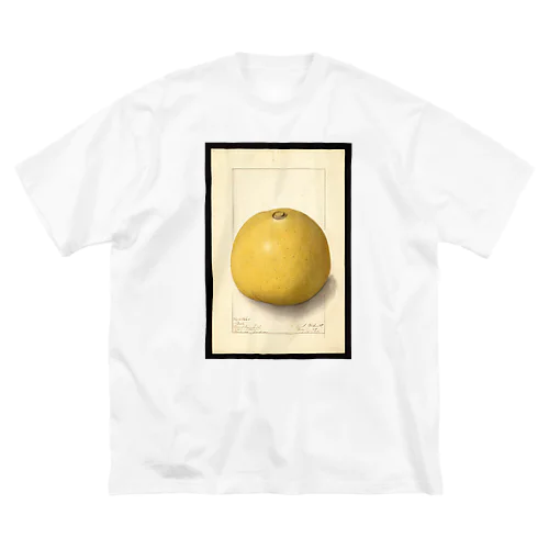Aegle marmelos  Big T-Shirt