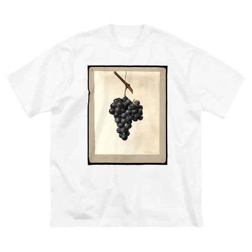 Vitis: Wittel No. 42 ビッグシルエットTシャツ