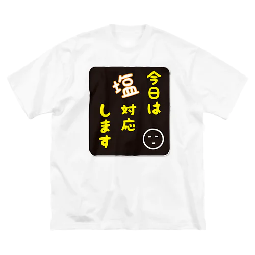 【文字】今日は塩対応します Big T-Shirt