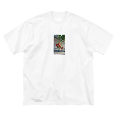 静岡いちごグッズ Big T-Shirt