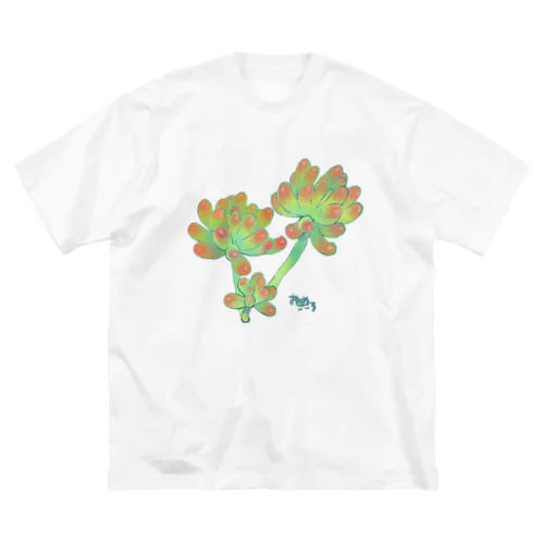 多肉植物・乙女心 ビッグシルエットTシャツ