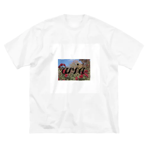 aria Big T-Shirt