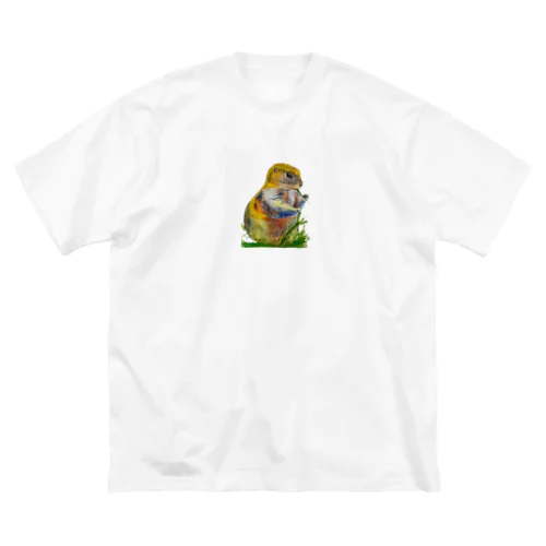 ミーヤキャットくん Big T-Shirt