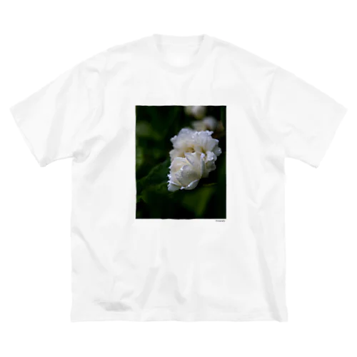 Rose 1 Big T-Shirt