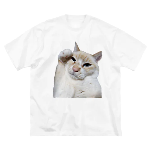 もっちりねこ はーい ビッグシルエットTシャツ