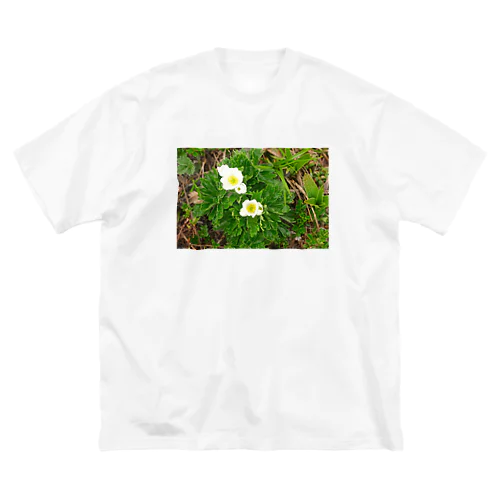 植物図鑑 ハクサンイチゲ② ビッグシルエットTシャツ