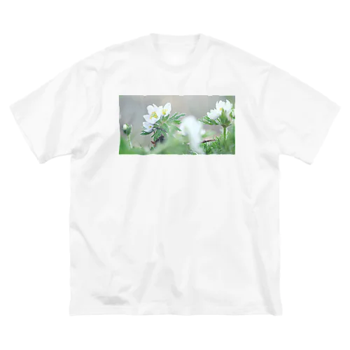 植物図鑑 ハクサンイチゲ② ビッグシルエットTシャツ