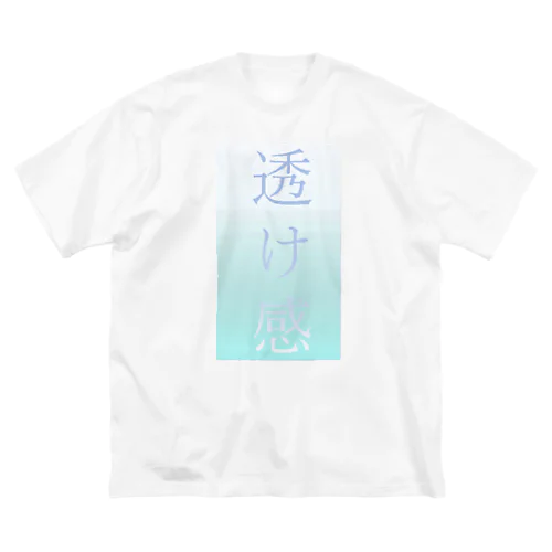 透け感　シリーズ Big T-Shirt