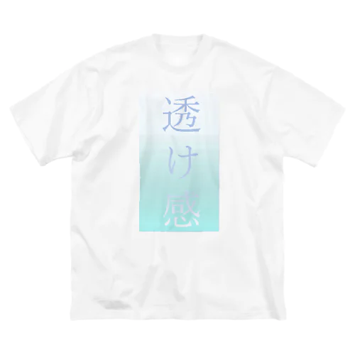 透け感　シリーズ ビッグシルエットTシャツ