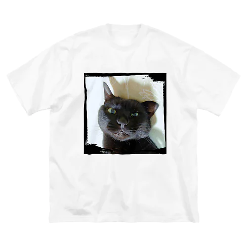 猫～やっぱりイカミミ舞茸 ビッグシルエットTシャツ