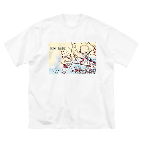 The sky’s the limit!  ビッグシルエットTシャツ