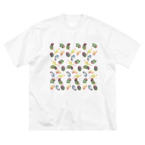 たっぷりウロコインコちゃん【まめるりはことり】 Big T-Shirt