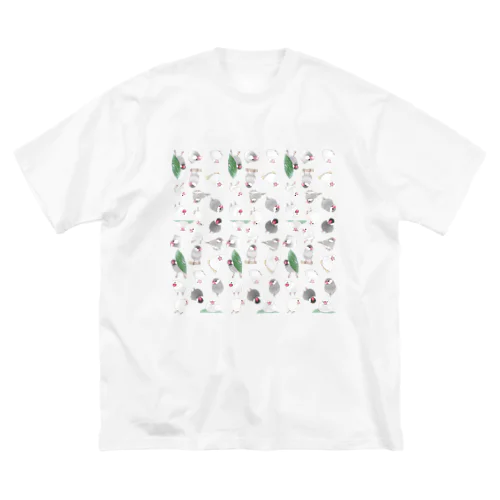 たっぷり文鳥ちゃん【まめるりはことり】 ビッグシルエットTシャツ