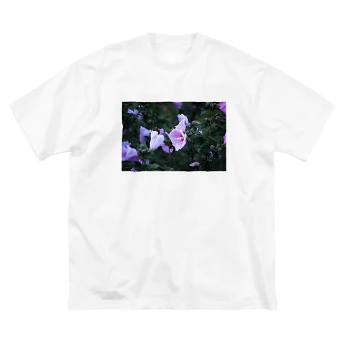 Morning glory  ビッグシルエットTシャツ