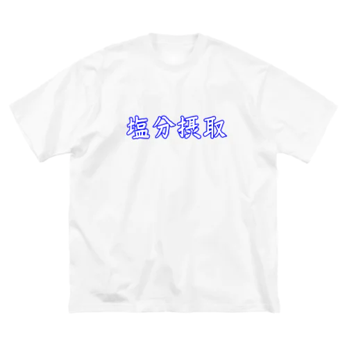 塩分摂取 Big T-Shirt