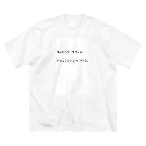 論破　なんだろう、嘘つくのやめてもらっていいですか。 Big T-Shirt