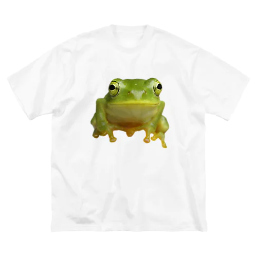 2D-Frog ver.02 루즈핏 티셔츠