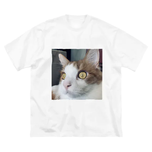 目がこわいねこのレン ビッグシルエットTシャツ