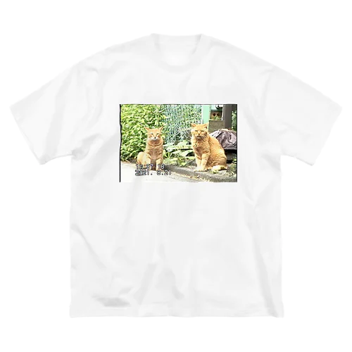 miniDVテープ「二匹の猫」 Big T-Shirt