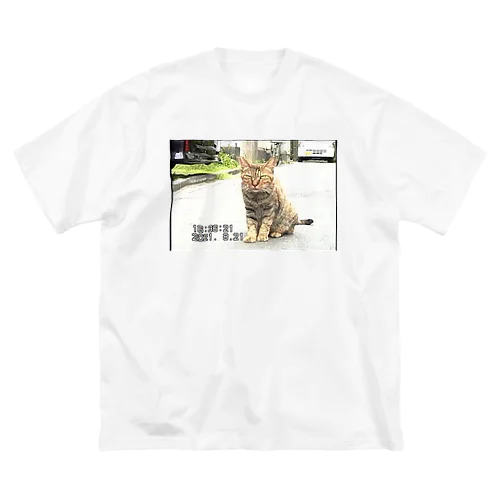 miniDVテープ「座る猫」 ビッグシルエットTシャツ