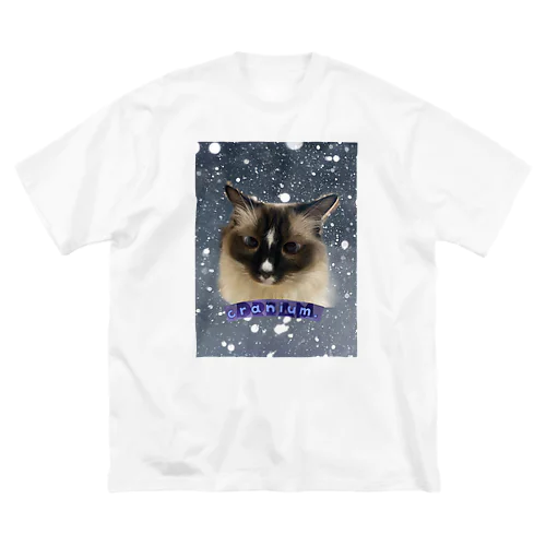 ねこの雫 Big T-Shirt