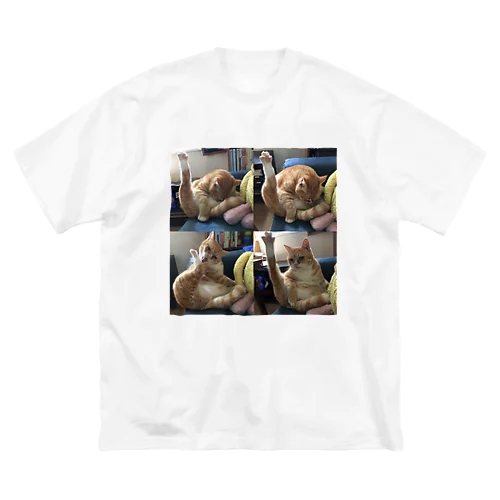 てん百景 Big T-Shirt