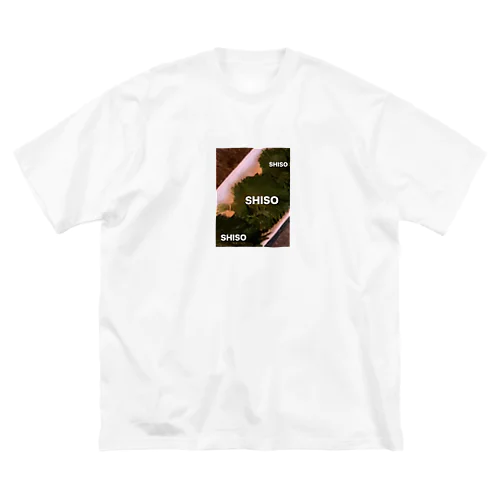 SHISO ビッグシルエットTシャツ