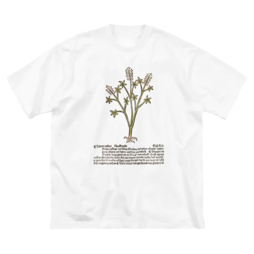 草 ビッグシルエットTシャツ