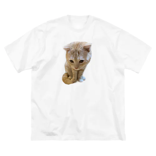 キャッツ Big T-Shirt