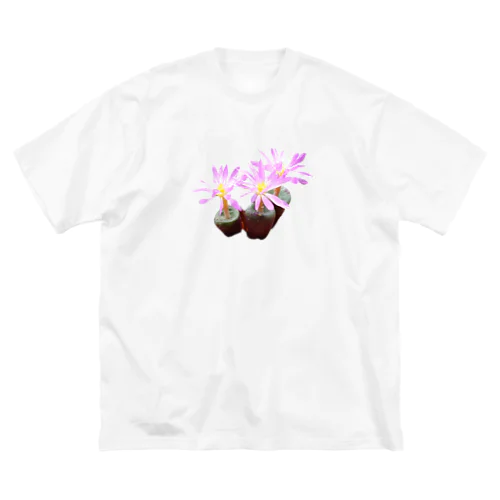 可憐な花 コノフィツム バリエンス 多肉植物 ビッグシルエットTシャツ