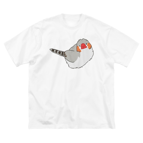 kakikaki　キンカ Big T-Shirt