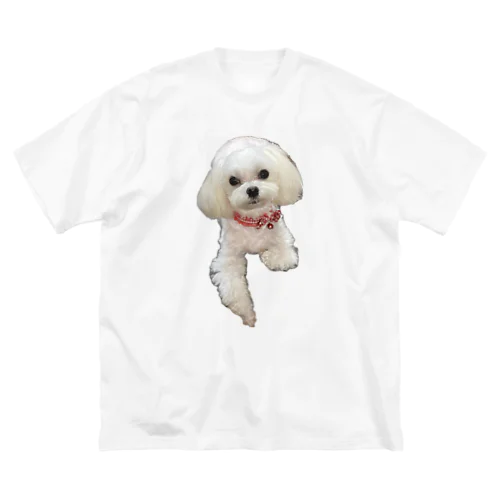 My Maltese ビッグシルエットTシャツ