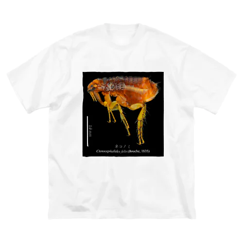 ネコノミ Big T-Shirt