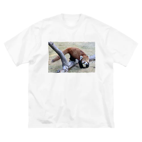 レッサーパンダ Big T-Shirt