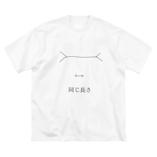 摩訶不思議な錯視 ビッグシルエットTシャツ