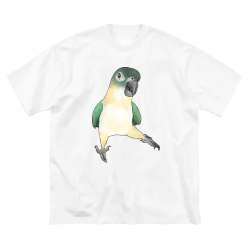 ご機嫌なズグロシロハラインコのカイ君【まめるりはことり】 ビッグシルエットTシャツ