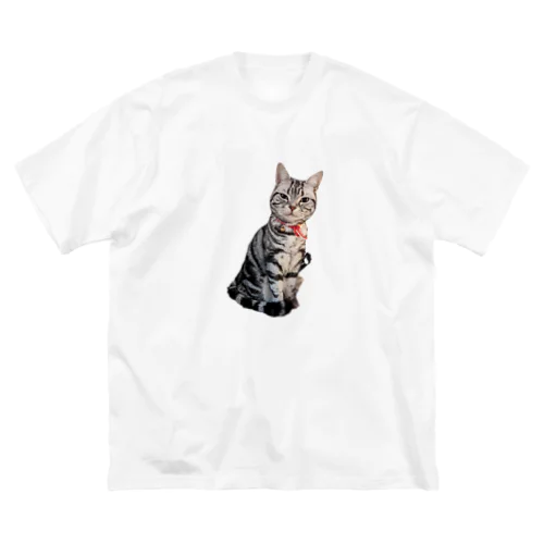 猫のトォーラ ビッグシルエットTシャツ