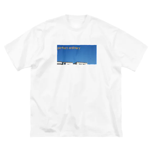 perfect ordinary ビッグシルエットTシャツ